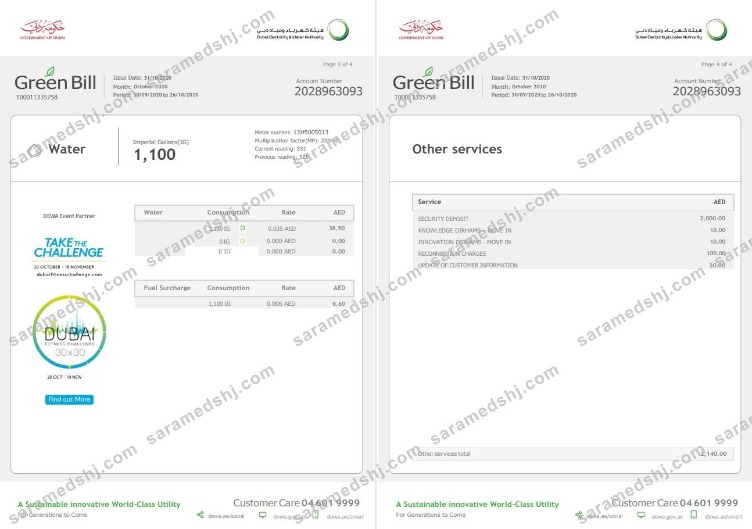 United Arab Emirates Dubai Electricity & Water Authority utility bill template in Word and PDF format (4 pages) 3 4